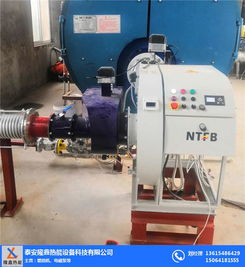 低氮燃燒機與隆鑫熱能設備 高效環(huán)保的機電設備解決方案