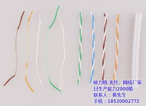 歐力格光纖網(wǎng)線 高品質(zhì)網(wǎng)絡(luò)線條邁向全球市場(chǎng)